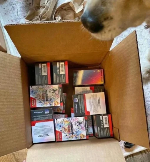 Pokémon TCG pallets